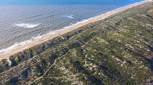 Flying above the sand dunes and trails along the coast of the central Monterey Bay. Includes horseback riders on the trail. FAA certified sUAS/Drone photography. 