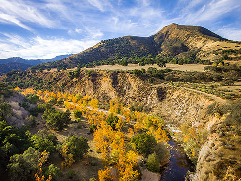The Arroyo Seco River gorge located between Carmel Valley Village and Greenfield alive with autumn colors. 