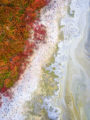 Abstract aerial drone photo looking directly down at colorful swirling patterns in the brackish water and foliage of a salt marsh with animal footprints in the mud.