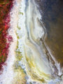 Abstract aerial drone photo looking directly down at colorful swirling patterns in the brackish water and foliage of a salt marsh.