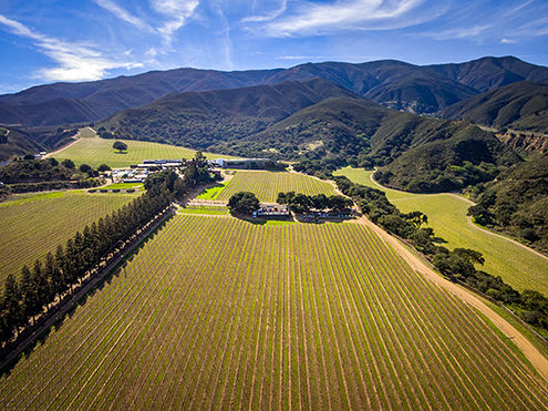 Event photography using a drone at the scenic Hahn Estate Winery in the Santa Lucia Highlands. FAA certified commercial sUAS/Drone photography. 