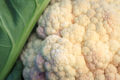 Organic cauliflower is packaged in the field for maximum freshness.