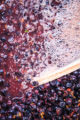 Pinot Noir grapes at their various stages of being crushed and juiced prior to fermentation.