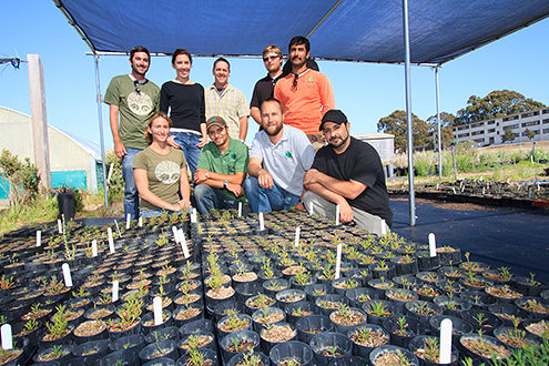 Public-private partnerships such as those formed by CSUMB alumni of the Environmental Science, Technology & Policy’s Return of the Natives program do much of the native plant restoration on the former Fort Ord bringing students and graduates working for local companies together for hands-on education. 