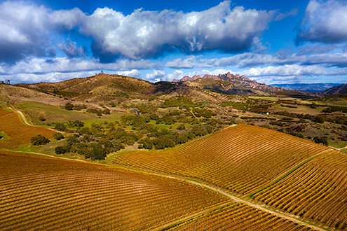Drone aerial of autumn vineyard colors in the Chalone AVA with rock formations of Pinnacles National Park in the background. 