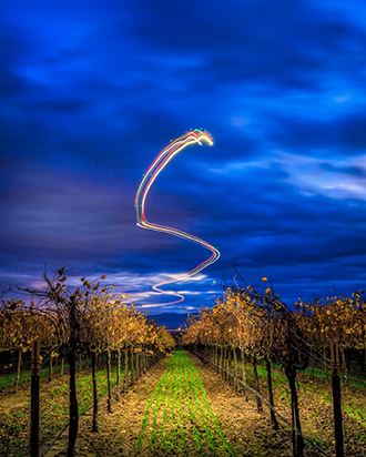 Streaks of light over a Salinas Valley Chardonnay vineyard – S is for Scheid. 