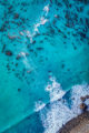 Aerial drone photo looking directly down at surf, rocky shore, turquoise sea, and kelp forest.