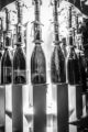 Black and white photo of wine bottles being filled in an assembly line.