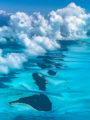 Aerial photo of tropical islands with big puffy clouds above.