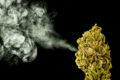 Cannabis flower exhaling a cloud of green smoke.