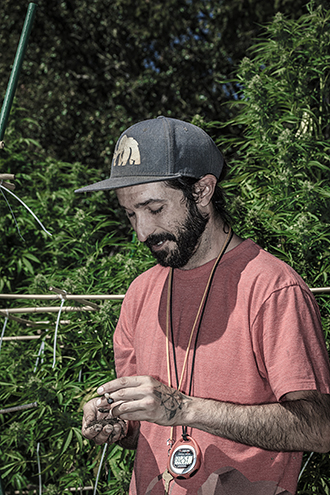 Cannabis farmer inspects his soil while enjoying a joint. 