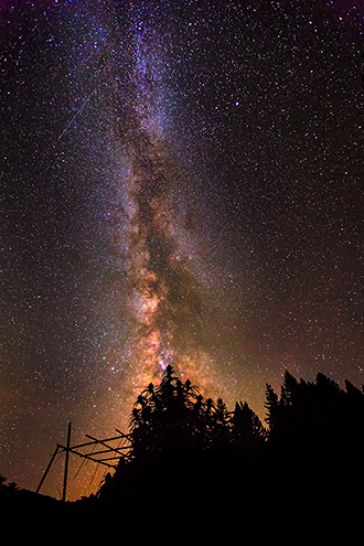 Cannabis garden at night under the stars and positioned beneath the Milky Way Galaxy. 