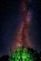 Cannabis garden at night positioned below the Milky Way Galaxy