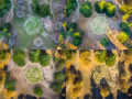 4 aerial drone photos of cannabis garden during different seasons..