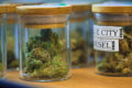 Small glass jars of cannabis buds.