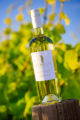 Product photo of a Scheid wine bottle in its vineyard of origin for marketing.