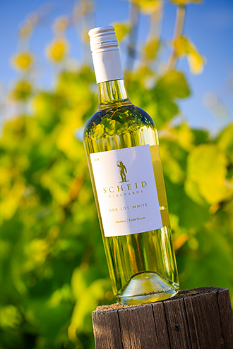 Scheid wine bottle in their Isabelle Vineyard along River Road in the Salinas Valley. 
