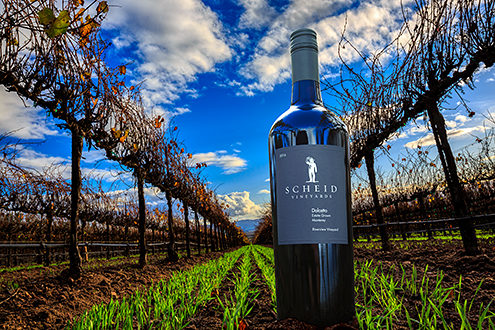 Scheid wine bottle in their Riverview Vineyard outside of Soledad in the Salinas Valley. 