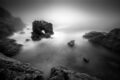 Dramatic black and white photo of a foggy coastal sunset with decorative rocks off shore and a lone seagull surrounded by silky white water.