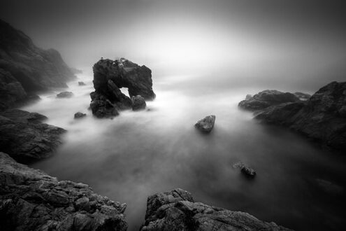 The fog rolls in at sunset along the northern Big Sur coast and seagull watches the waves roll in around its ventana. 