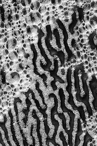 A wave leaves its signature with a unique kelp leaf and sand pattern overlayed with bubbles. 