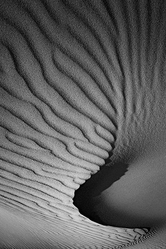 A ridge of a dune fans out into an abstract windswept pattern. 